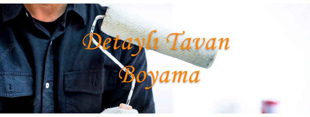 Detaylı Tavan Boyama